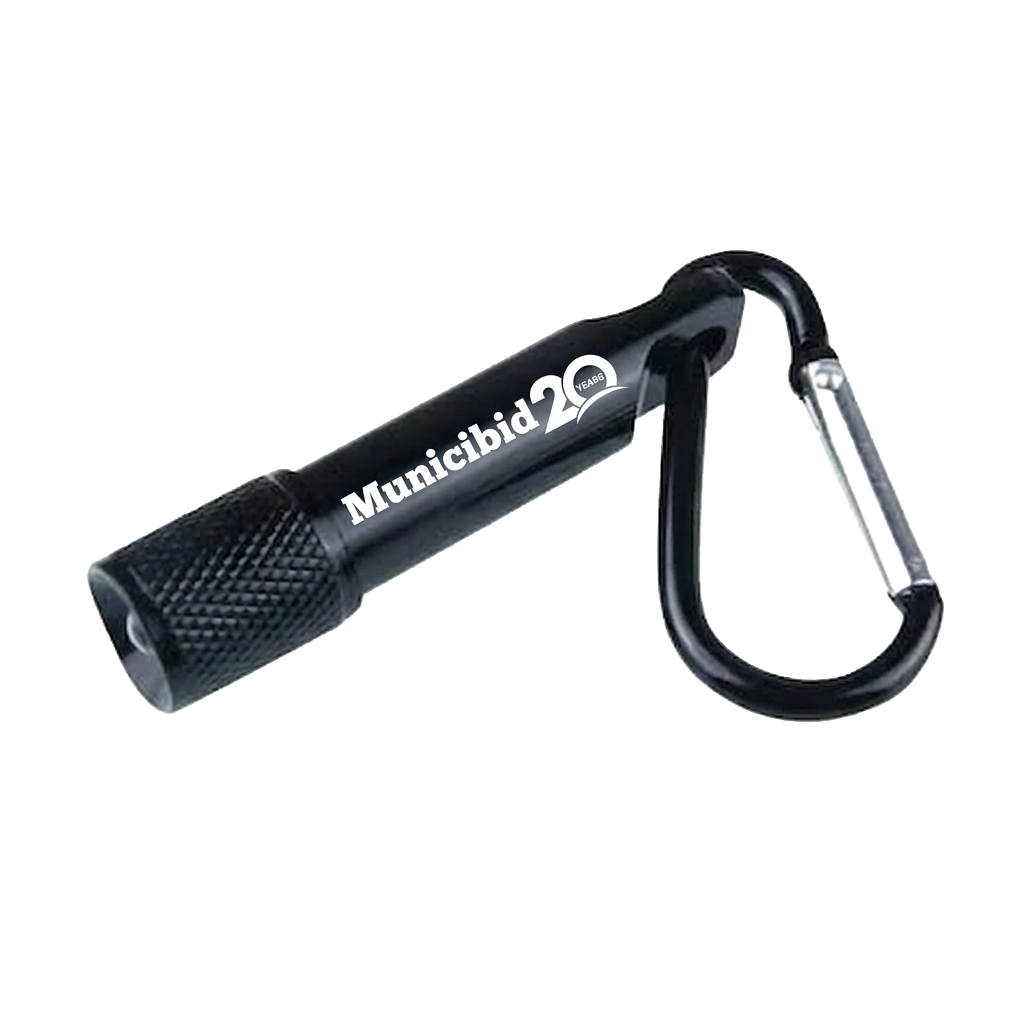 Carabiner Flashlight
