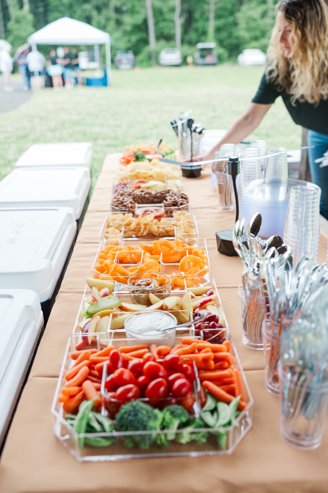 Municibid 20th Anniversary Picnic photo 2